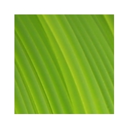 Fiberlogy - Refill Easy PET-G - Vert Translucide (translucent light green) - 1.75 mm -850 gr