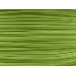 Winkle - PETG - Citron Vert (Lime) - 1.75mm - 1 Kg