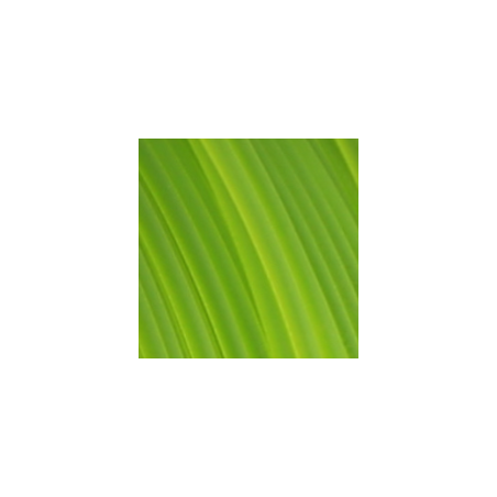 Fiberlogy - Easy PET-G - Vert Translucide (translucent light green) - 1.75 mm -850 gr