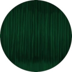 Fiberlogy - Easy PET-G - Vert bouteille Translucide (Translucent Bottle Green) - 1.75 mm -850 gr